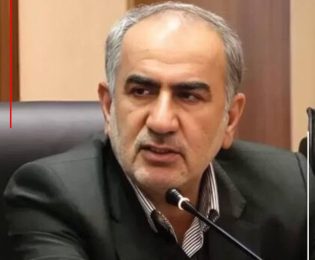 سوله های صنعتی بسیاری در فارس بلااستفاده مانده است